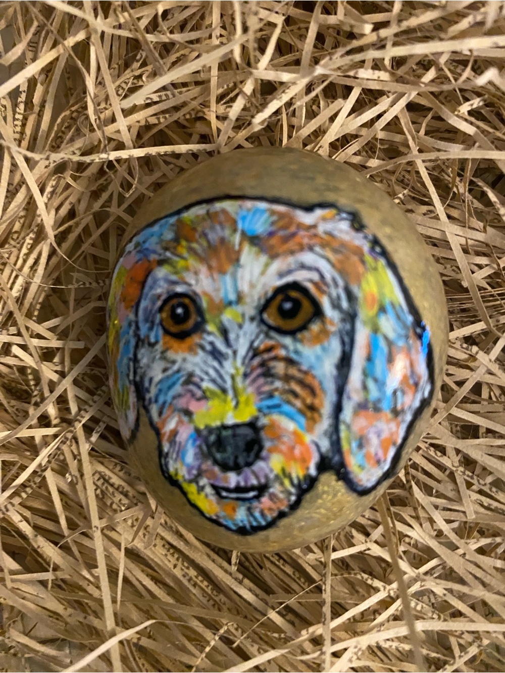 Hand-Painted Colorful Dog Face Rock